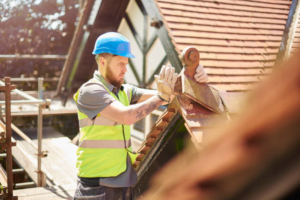 Best Roof Gutter Cleaning  in Carle Place, NY